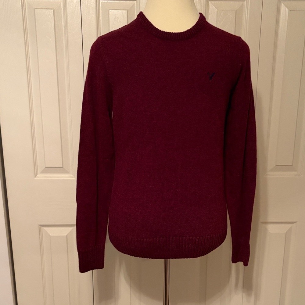 American Eagle Outfitters Men's Deep Red Crewneck Sweater